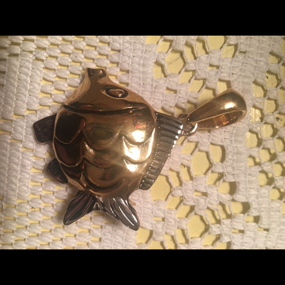Fish pin or necklace charm